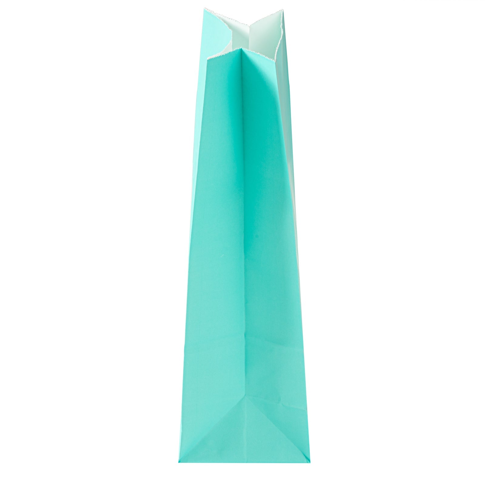 Bag Tek Turquoise Paper Bag - 8 lb - 6" x 4" x 11 3/4" - 100 count box