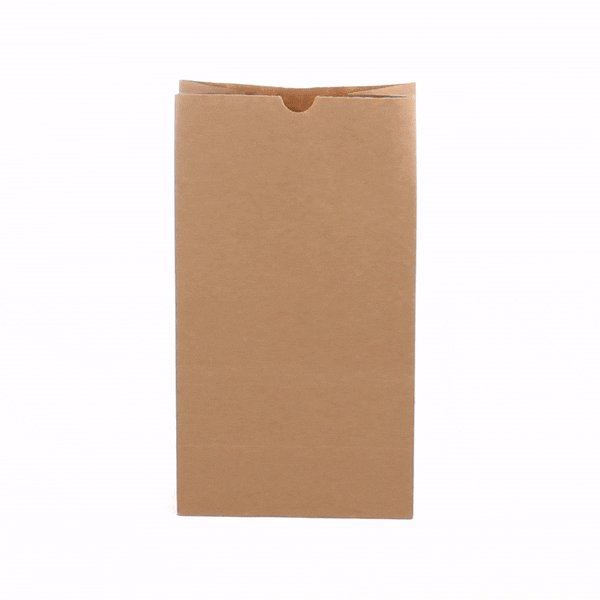 Bag Tek Kraft Paper Bag - 12 lb - 7" x 4 1/4" x 12 1/2" - 100 count box