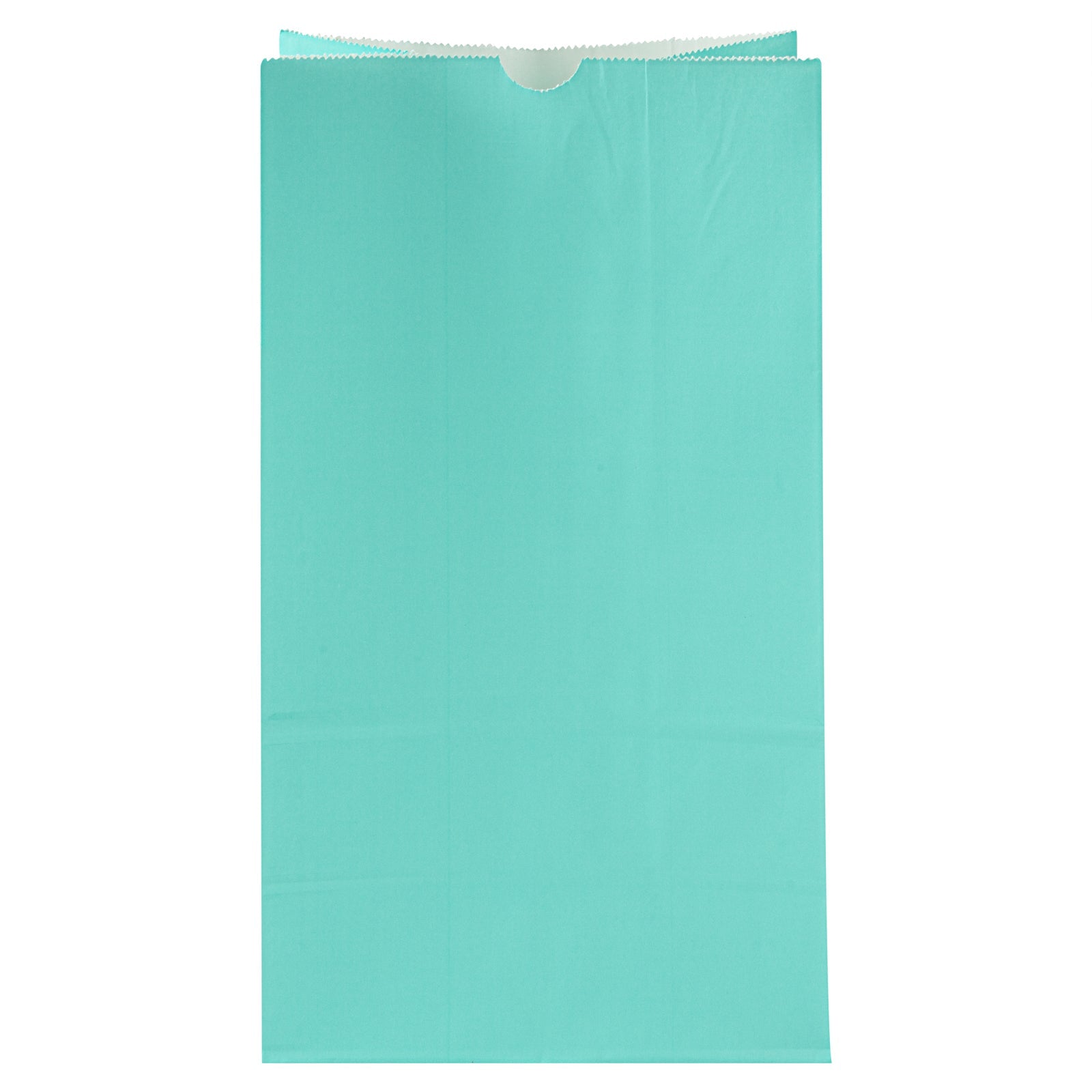 Bag Tek Turquoise Paper Bag - 12 lb - 7" x 4 1/4" x 12 1/2" - 100 count box