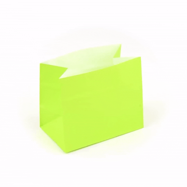 Bag Tek Eco Green Paper Large Snack Bag - 4 1/4" x 2 1/2" x 3 3/4" - 100 count box