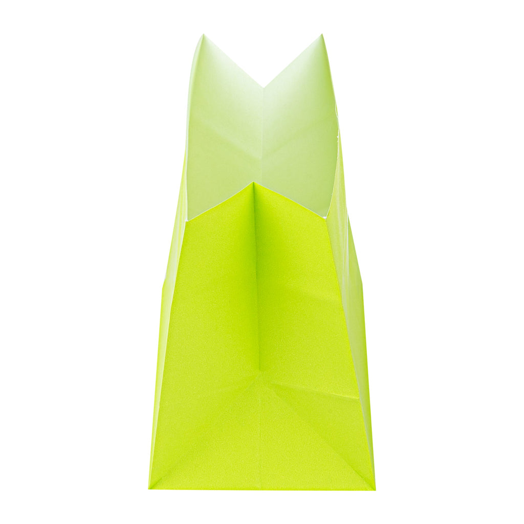 Bag Tek Eco Green Paper Large Snack Bag - 4 1/4" x 2 1/2" x 3 3/4" - 100 count box