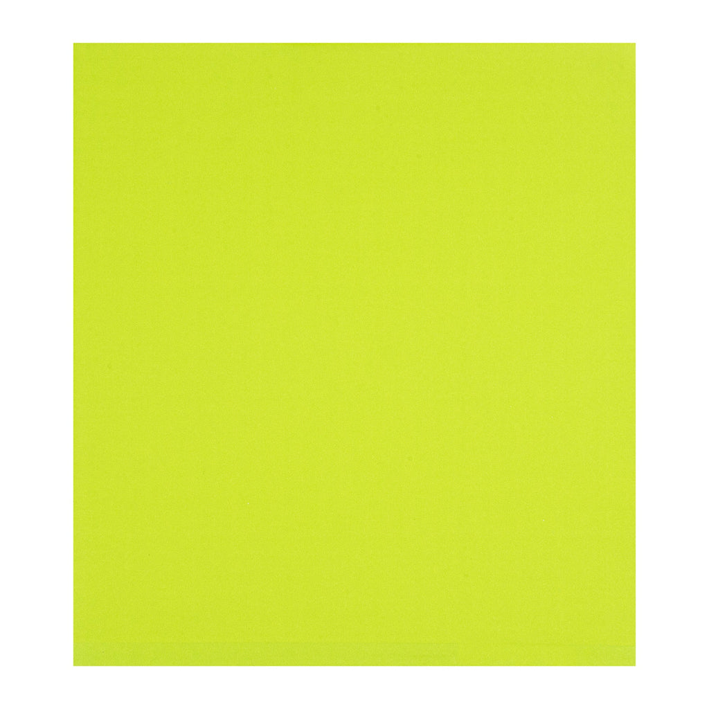 Bag Tek Eco Green Paper Large Double Open Bag - Greaseproof - 10" x 9" - 100 count box
