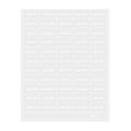 Label Tek Plastic Watermelon Label - Clear with White Font, Water-Resistant - 2" x 1" - 100 count box