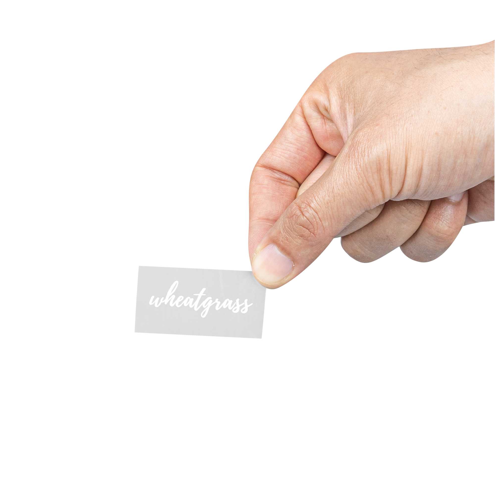 Label Tek Plastic Wheatgrass Label - Clear with White Font, Water-Resistant - 2" x 1" - 100 count box