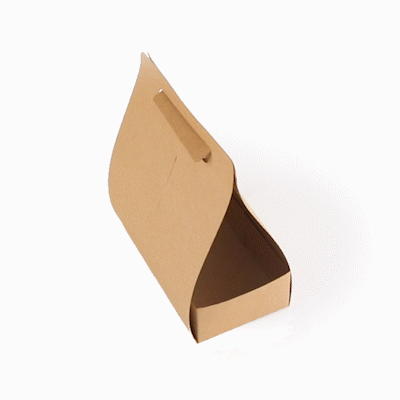 Bio Tek Kraft Paper To Go Lunch / Drink Carrier - with Handle - 8 3/4" x 4 1/4" x 8" - 100 count box