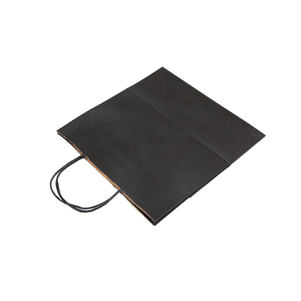 Saving Nature Black Paper Retail Bag - with Handles - 10 1/4" x 7 3/4" x 10 1/2" - 100 count box