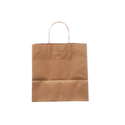 Saving Nature Kraft Paper Retail Bag - with Handles - 10 1/4" x 7 3/4" x 10 1/2" - 100 count box