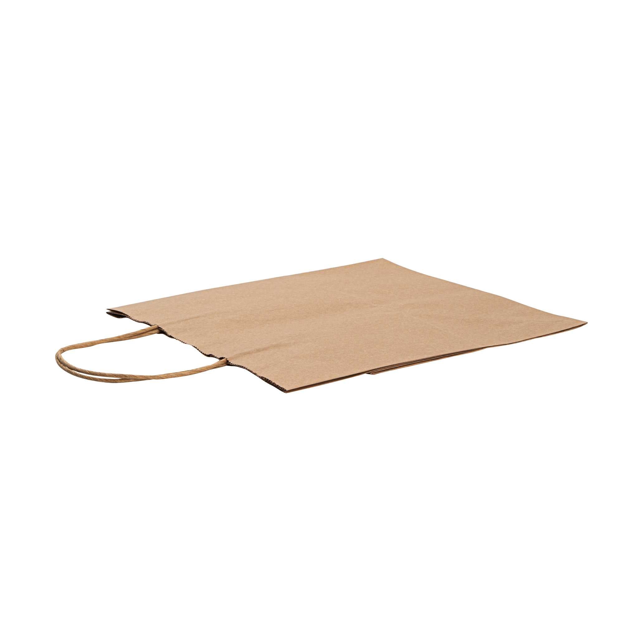 Saving Nature Kraft Paper Retail Bag - with Handles - 10 1/4" x 7 3/4" x 10 1/2" - 100 count box