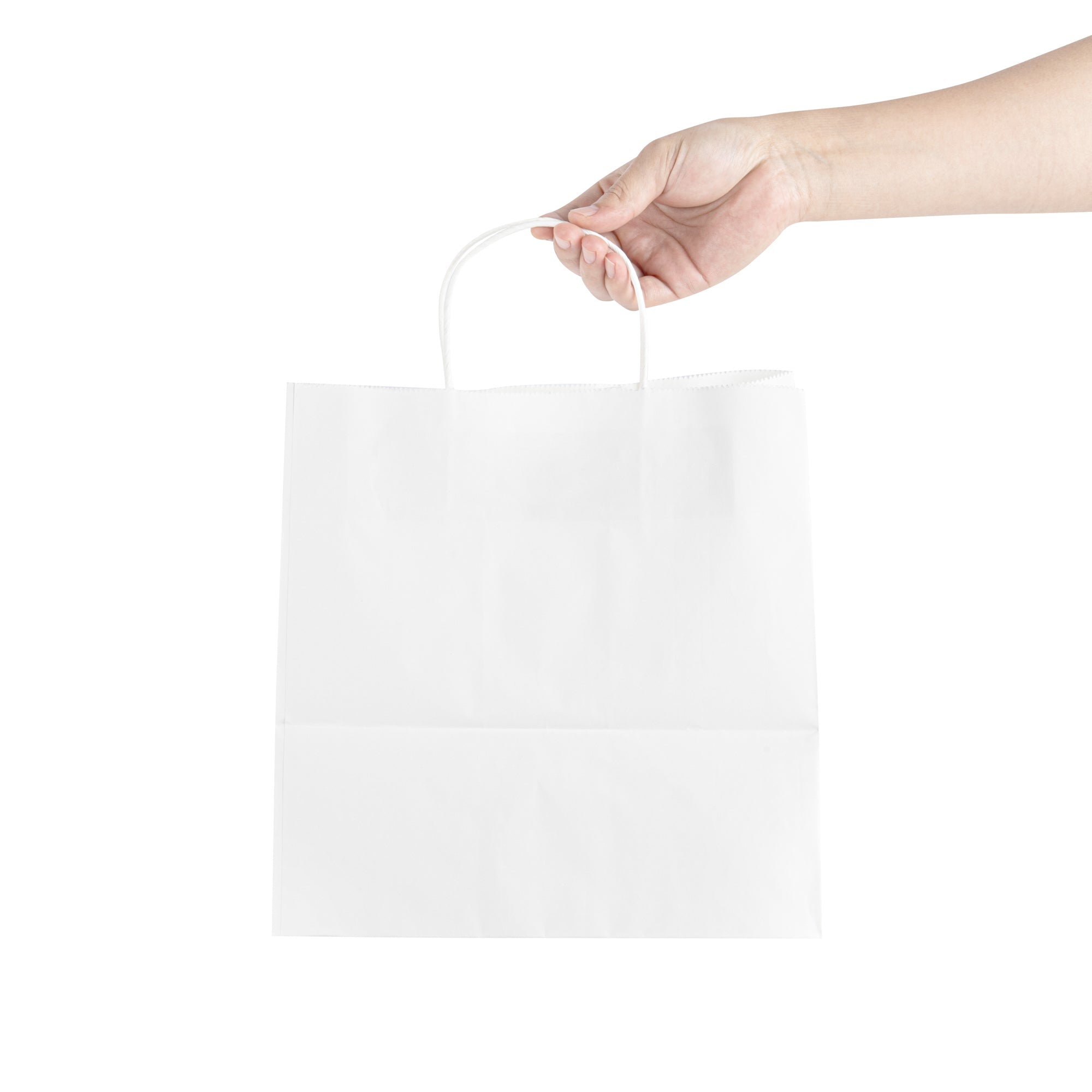 Saving Nature White Paper Retail Bag - with Handles - 10 1/4" x 7 3/4" x 10 1/2" - 100 count box
