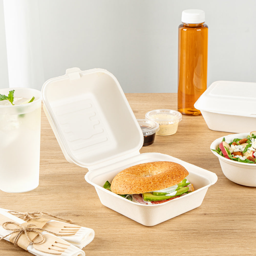Pulp Safe No PFAS Added 15 oz Square White Sugarcane / Bagasse Clamshell Container - Home Compostable - 6" x 6" x 3" - 100 count box