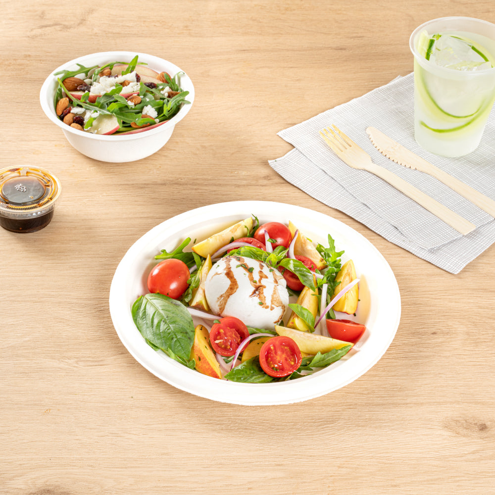 Pulp Safe No PFAS Added Round White Sugarcane / Bagasse Large Plate - Home Compostable - 10 1/4" x 10 1/4" x 3/4" - 100 count box
