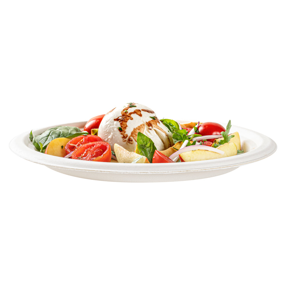 Pulp Safe No PFAS Added Round White Sugarcane / Bagasse Large Plate - Home Compostable - 10 1/4" x 10 1/4" x 3/4" - 100 count box