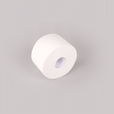 Clean Tek Professional White Toilet Paper Roll - 2-Ply, Center Pull - 876' x 7 3/4" - 1 count box
