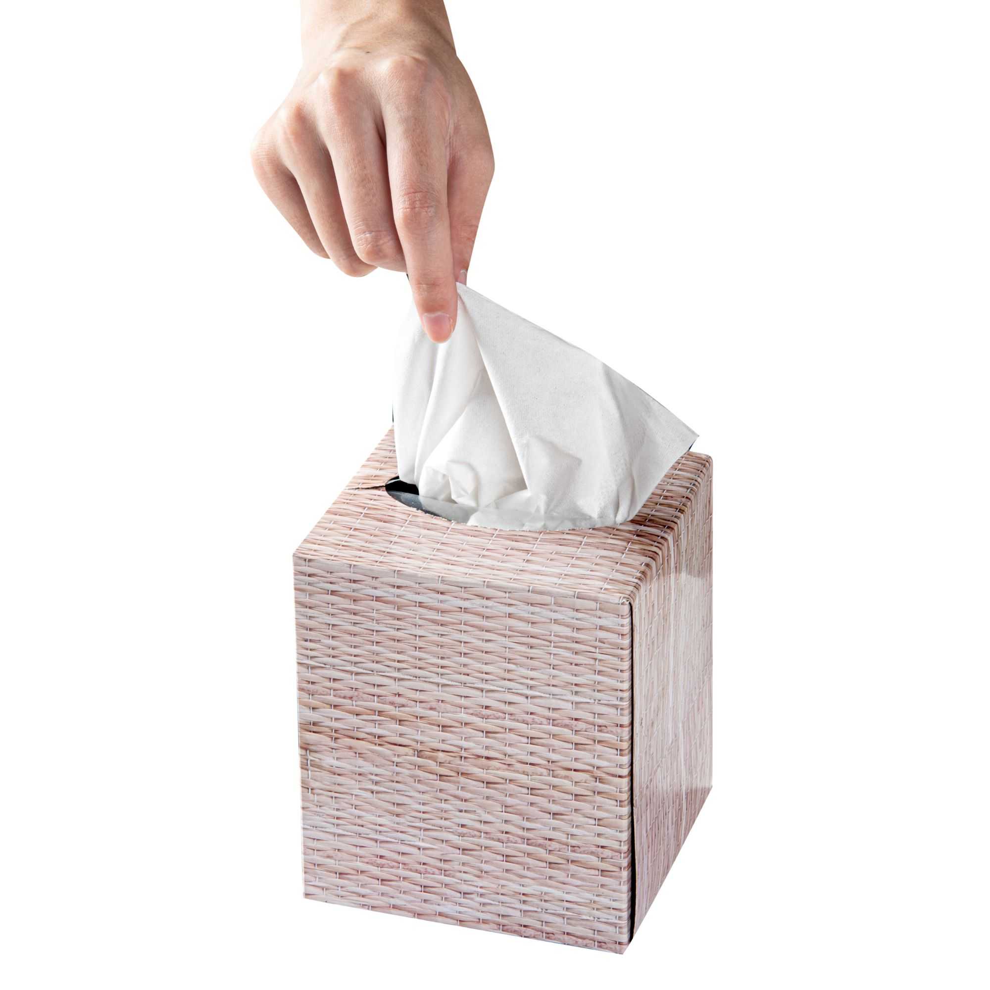 Clean Tek Professional 90 Sheet Facial Tissue Cube - 2-Ply - 1 count box