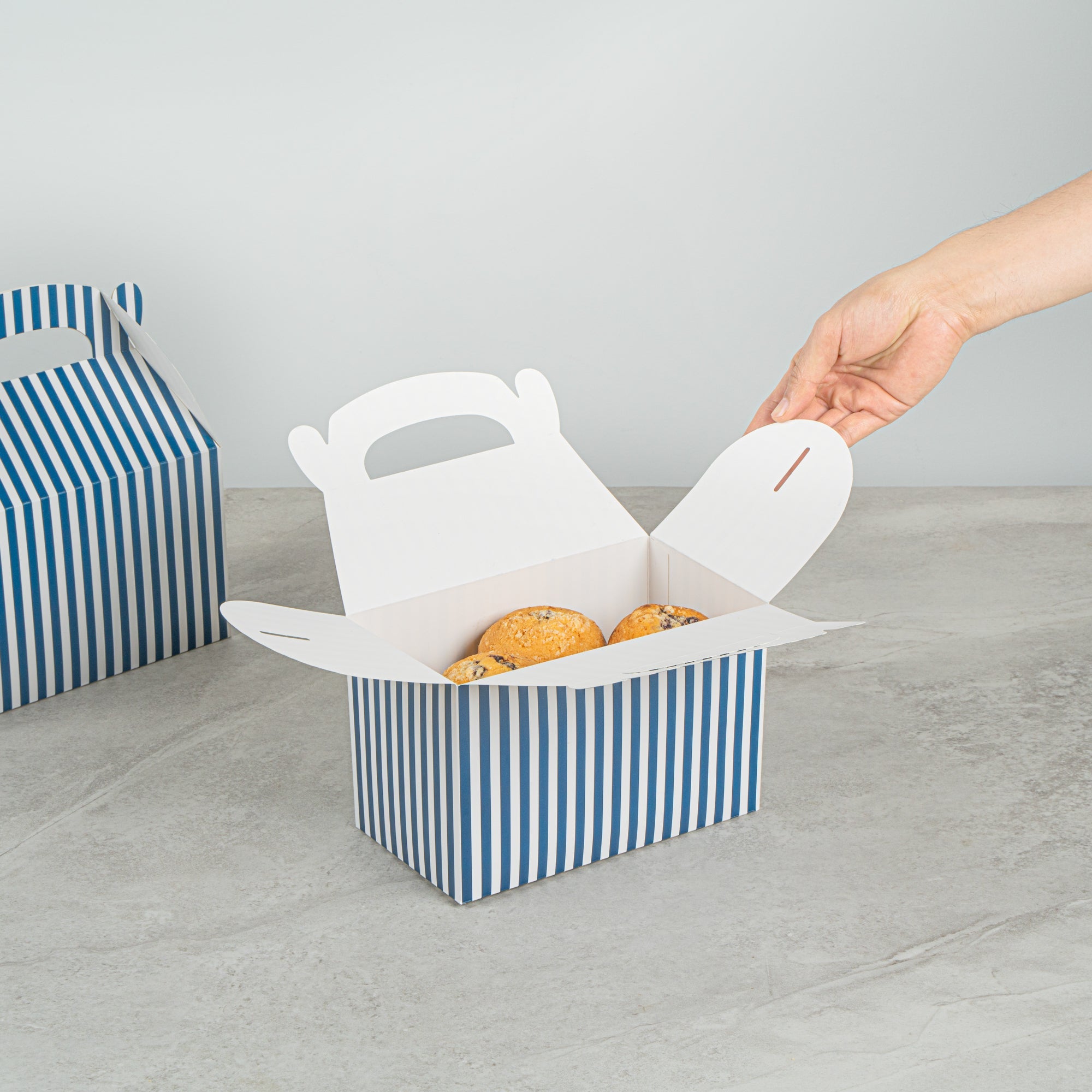Bio Tek Blue & White Stripe Paper Gable Box / Take Out Container - Compostable - 8 1/2" x 4 3/4" x 5 1/2" - 25 count box