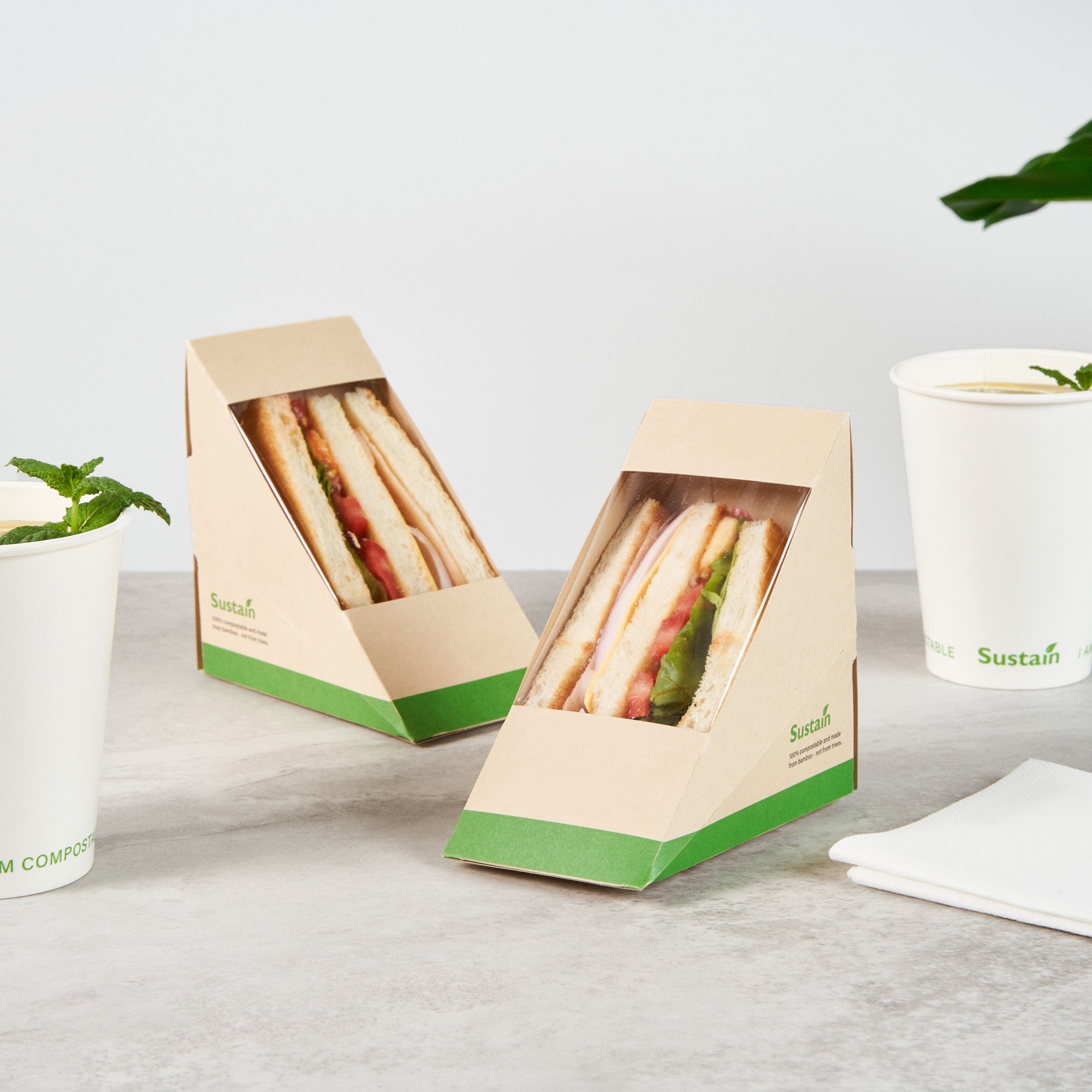 Sustain Bamboo Paper Medium Sandwich Box - with PLA Lining and Window, Compostable - 4 3/4" x 4 3/4" x 2 3/4" - 25 count box