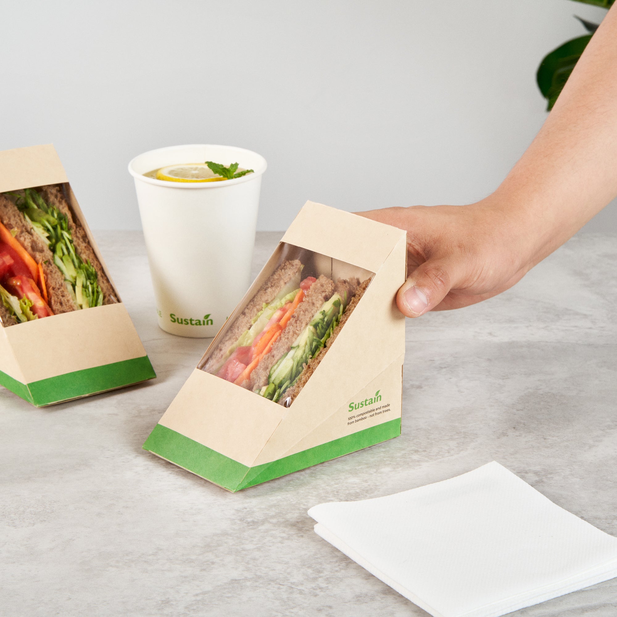 Sustain Bamboo Paper Large Sandwich Box - with PLA Lining and Window, Compostable - 4 3/4" x 4 3/4" x 3 1/4" - 200 count box