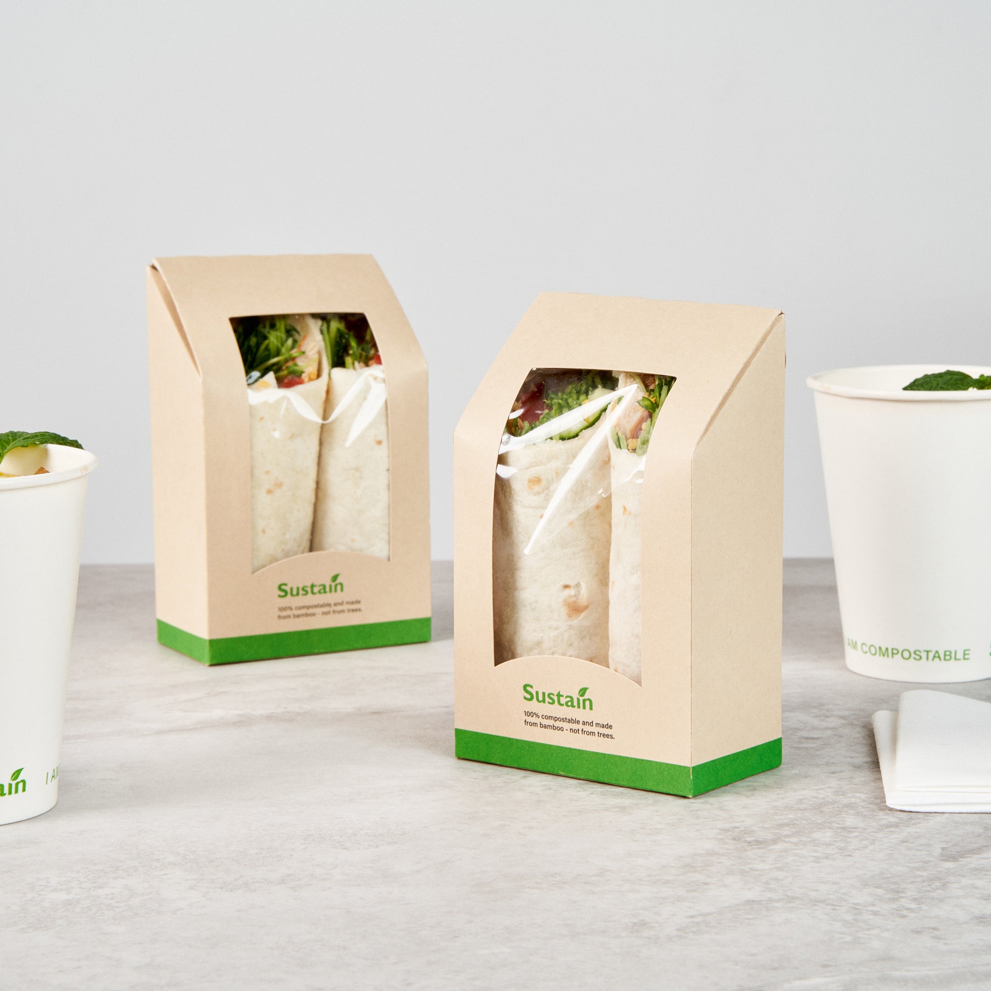 Sustain Bamboo Paper Sandwich / Wrap Take Out Container - with PLA Lining and Window, Compostable - 6" x 3 3/4" x 2" - 50 count box