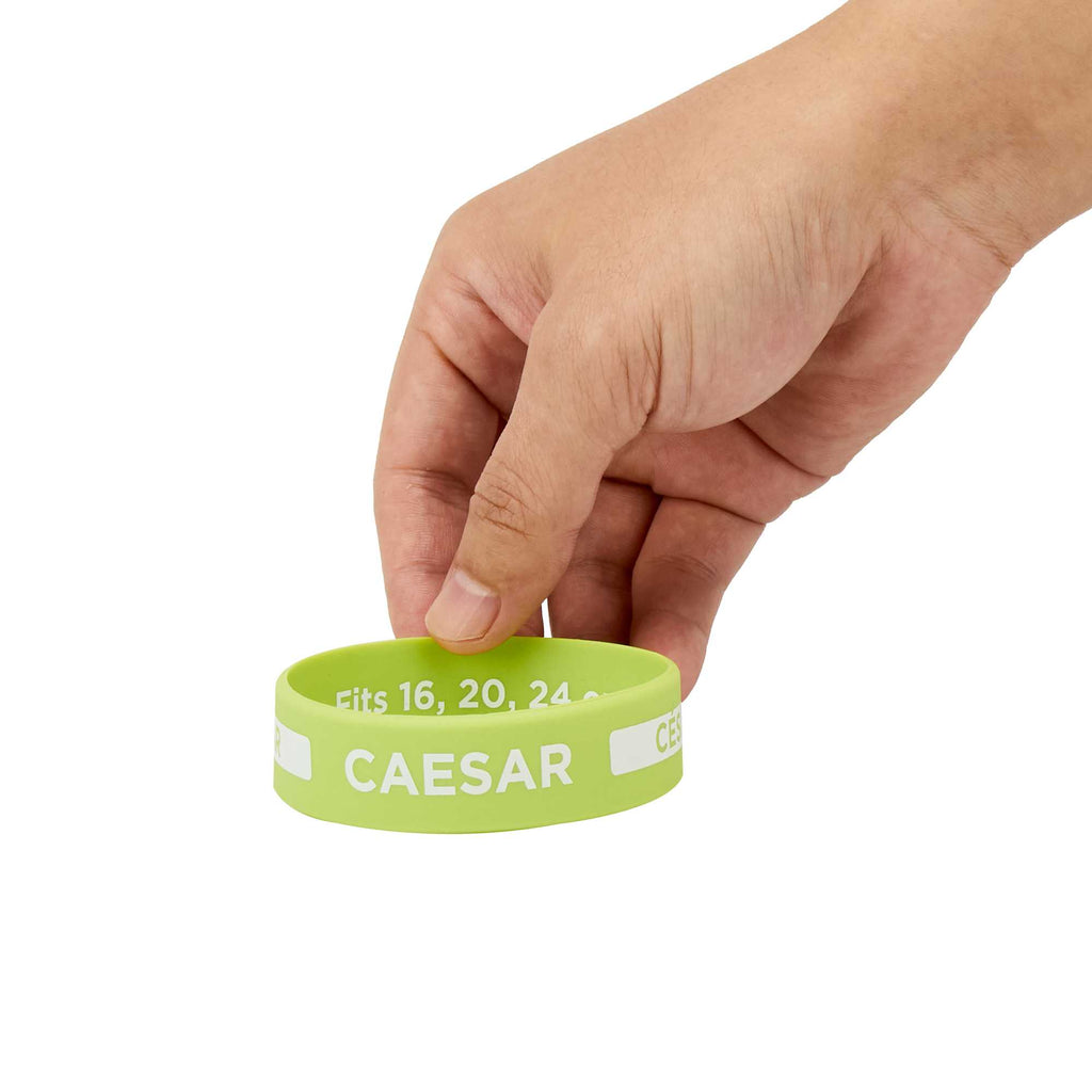 First In First Out Green Silicone Caesar Label Band - Fits 16, 20 and 24 oz Squeeze Bottles - 1 count box