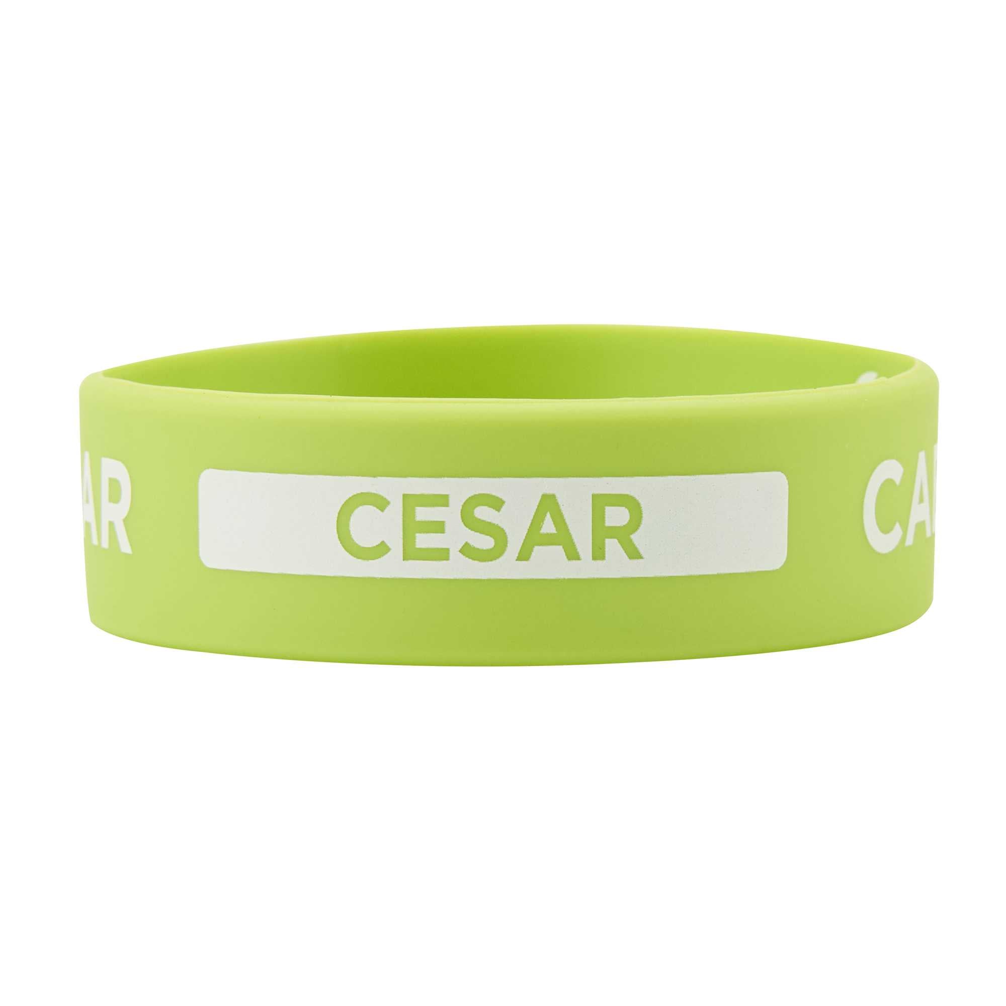 First In First Out Green Silicone Caesar Label Band - Fits 16, 20 and 24 oz Squeeze Bottles - 1 count box