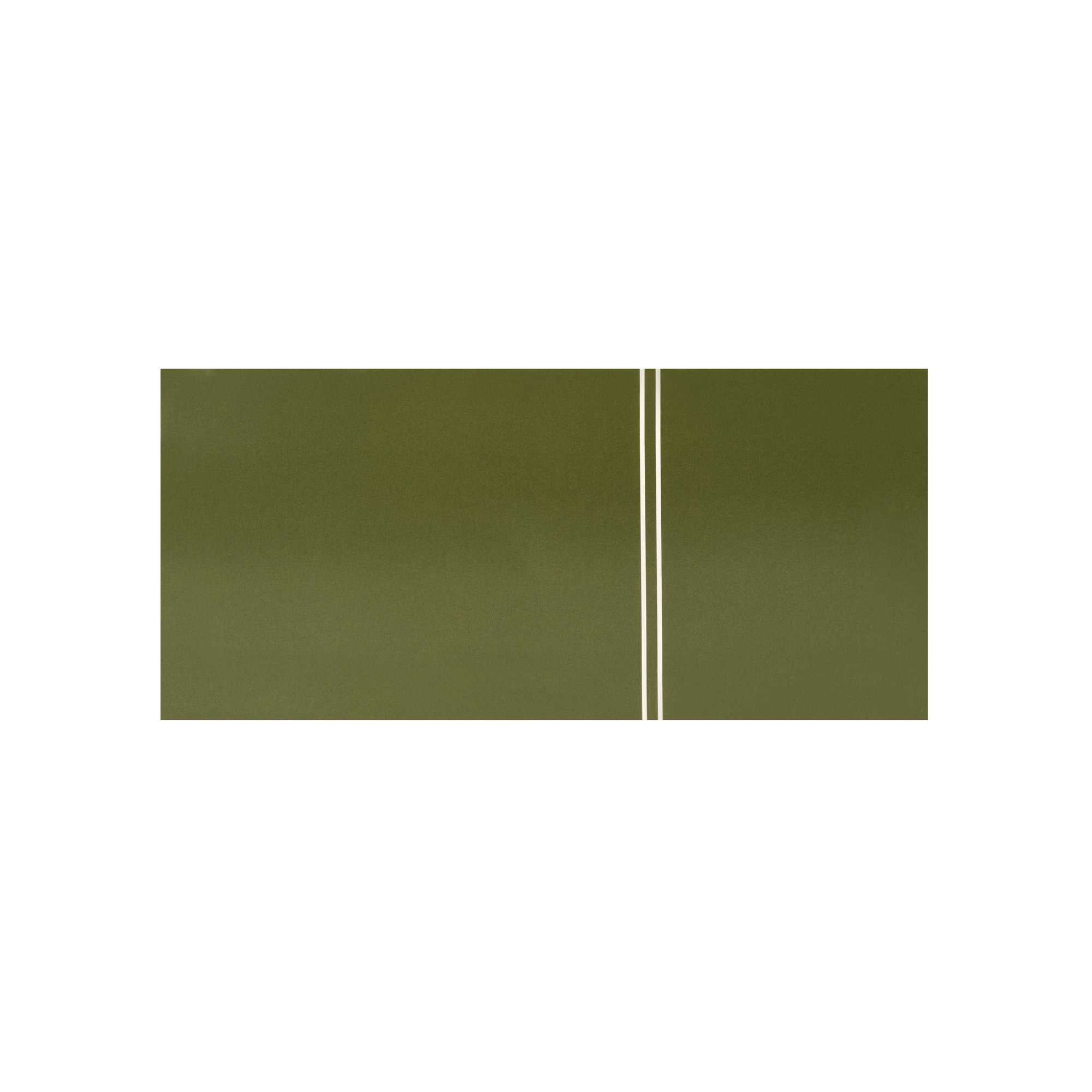 Cater Tek Rectangle Green Paper Burger Tray - with Cover and Divider - 8 1/4" x 5 3/4" x 3 3/4" - 100 count box