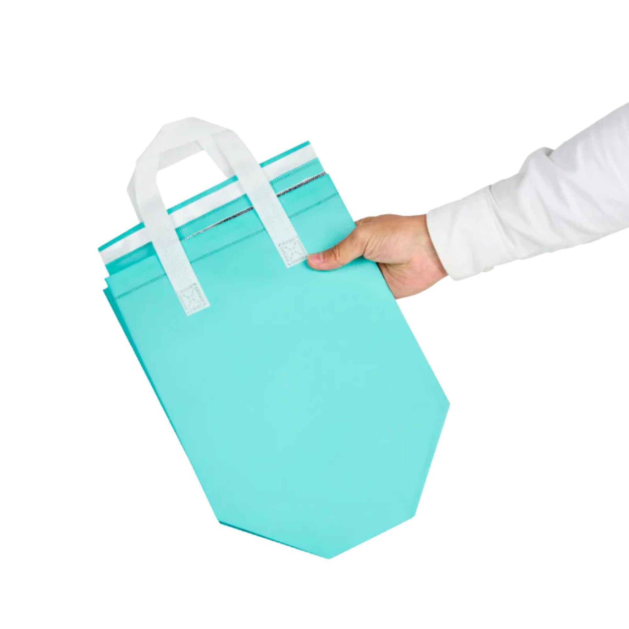 Bag Tek Teal Insulated Take Out Bag - Tamper-Evident - 9 1/2" x 6" x 10 1/4" - 25 count box