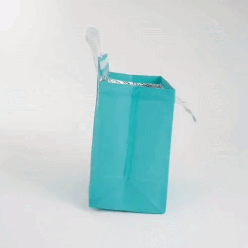 Bag Tek Teal Insulated Take Out Bag - Tamper-Evident - 9 1/2" x 6" x 10 1/4" - 100 count box