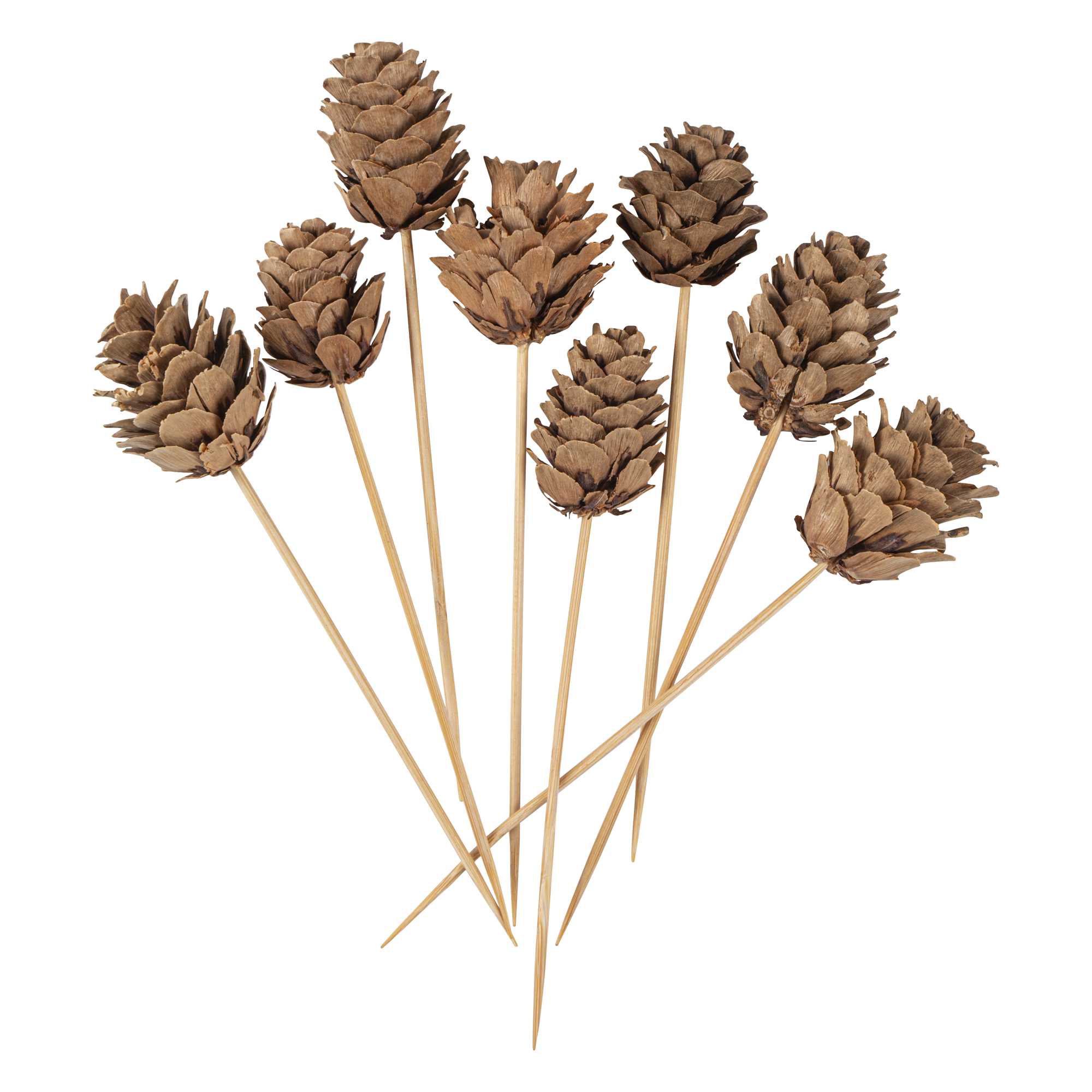Pixy Natural Bamboo Mini Pine Cone Pick - 4" x 3/4" x 3/4" - 500 count box