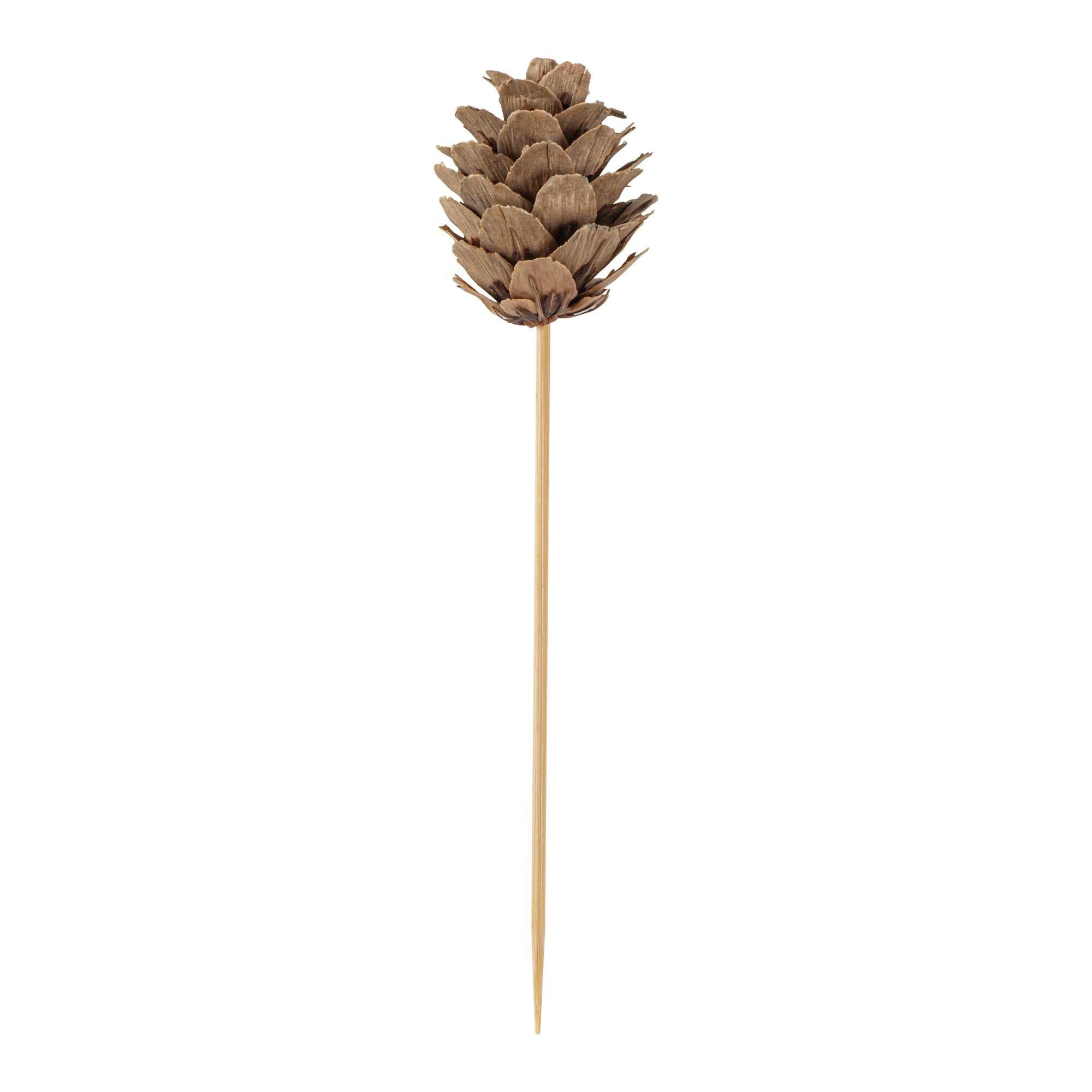 Pixy Natural Bamboo Mini Pine Cone Pick - 4" x 3/4" x 3/4" - 500 count box