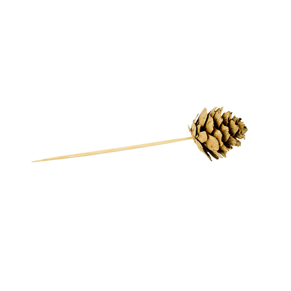 Pixy Natural Bamboo Mini Pine Cone Pick - 4" x 3/4" x 3/4" - 500 count box