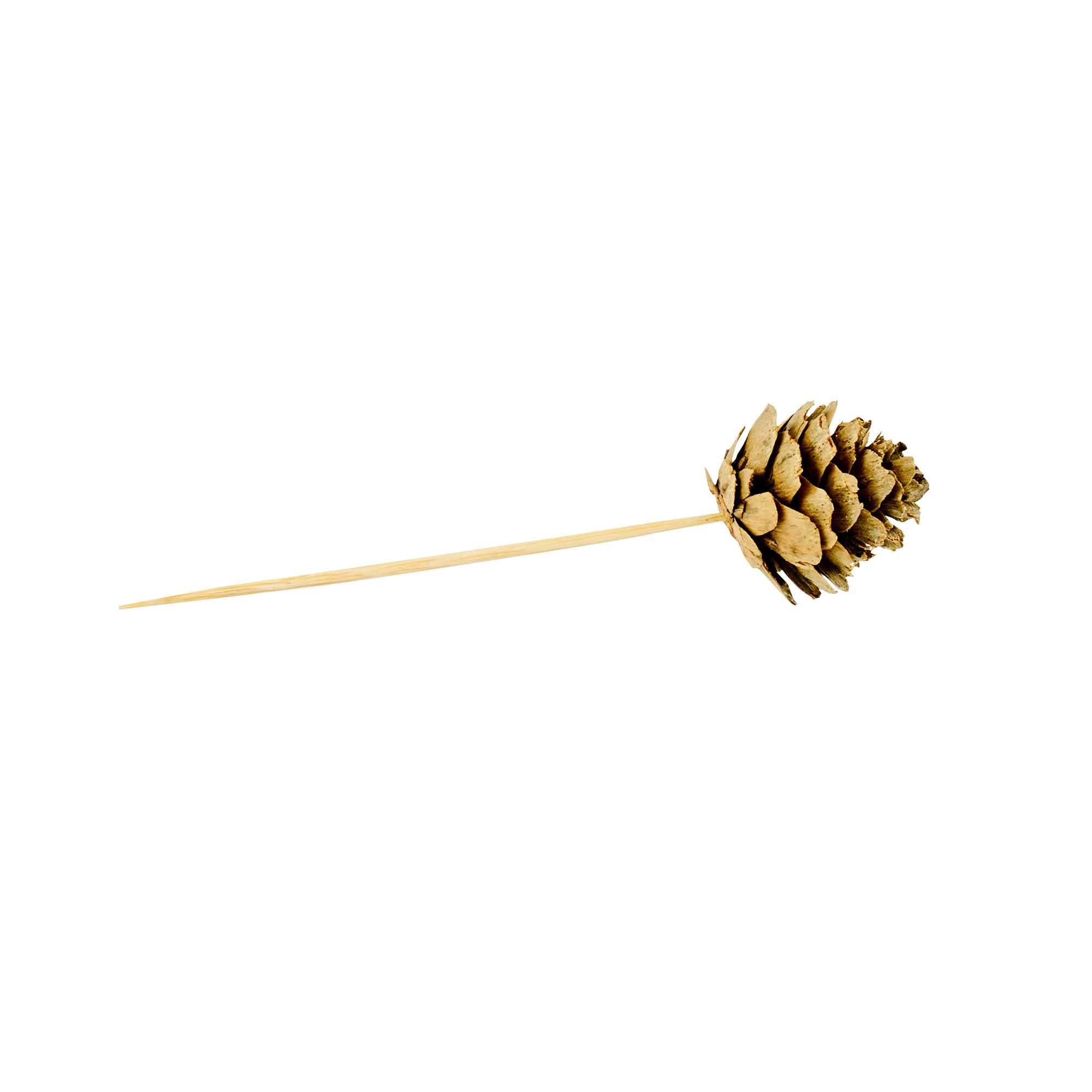 Pixy Natural Bamboo Mini Pine Cone Pick - 4" x 3/4" x 3/4" - 500 count box