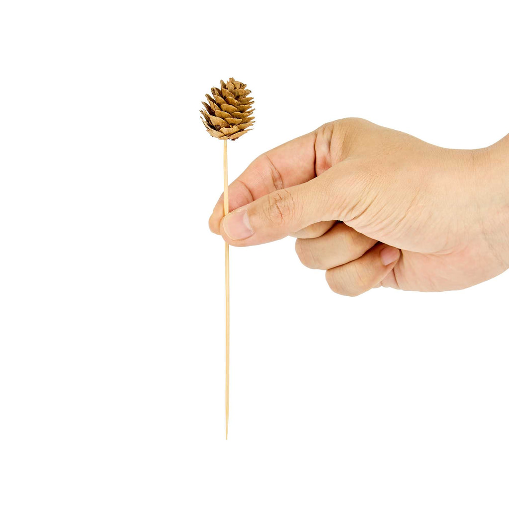 Pixy Natural Bamboo Mini Pine Cone Skewer - 6" x 3/4" x 3/4" - 500 count box