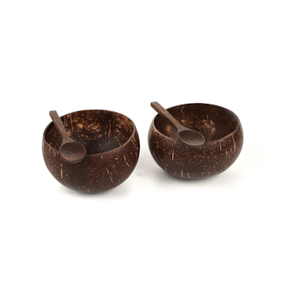 Coco Casa 4-Piece Handmade Coconut Bowl and Wooden Spoon Set - 10 count box