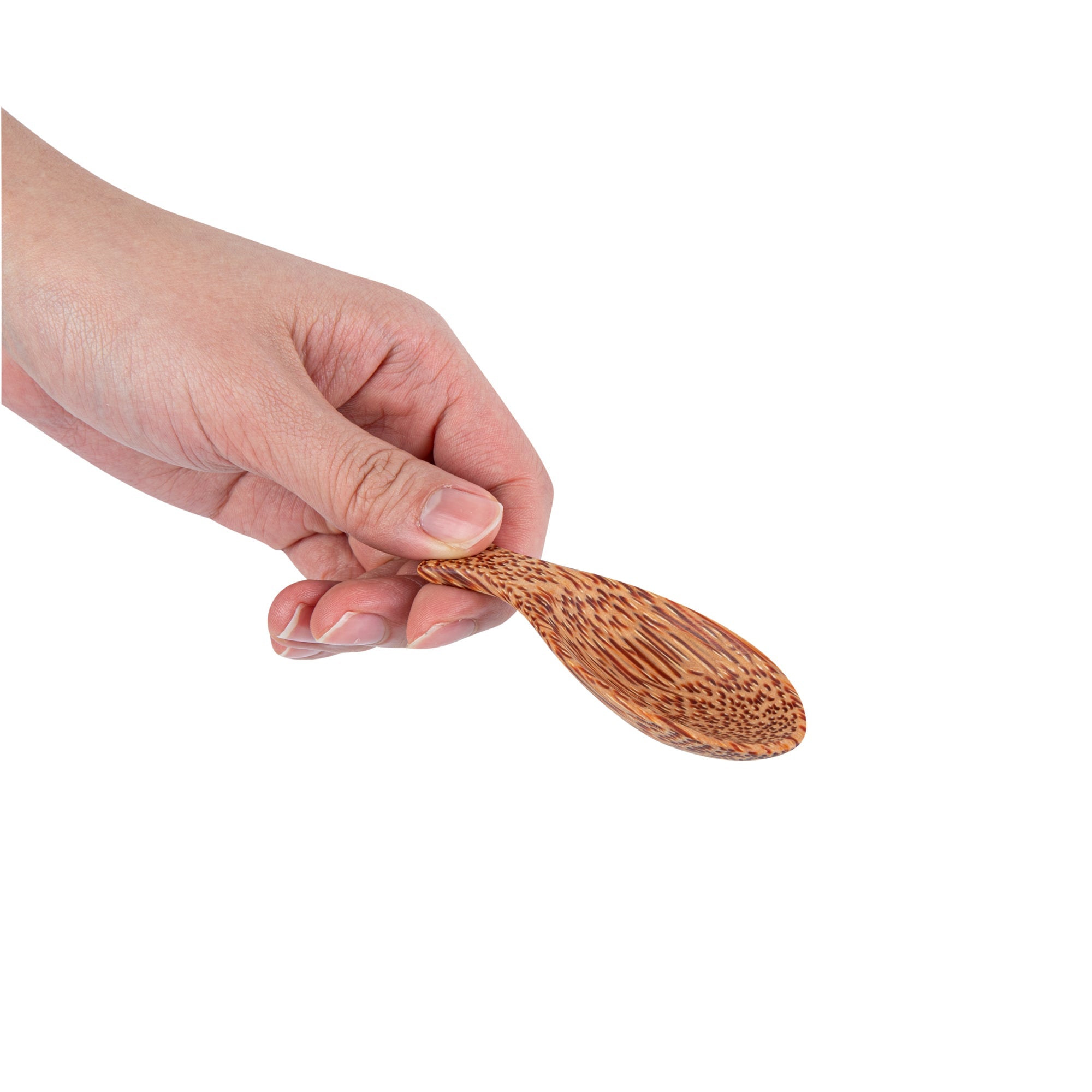 Coco Casa Natural Handmade Coconut Spoon / Scoop - 3 1/2" x 1 1/4" - 4 count box