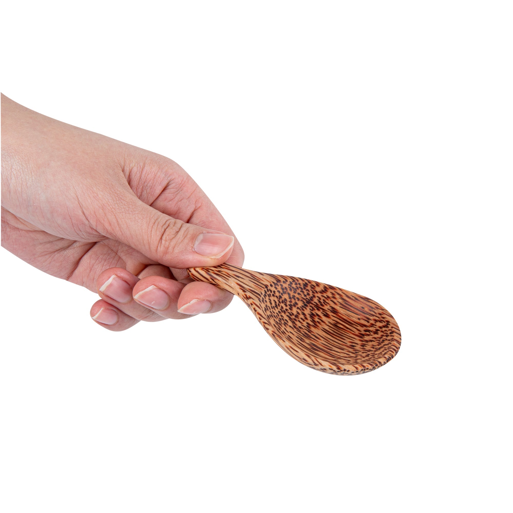Coco Casa Natural Handmade Coconut Spoon / Scoop - 3 3/4" x 1 3/4" - 40 count box
