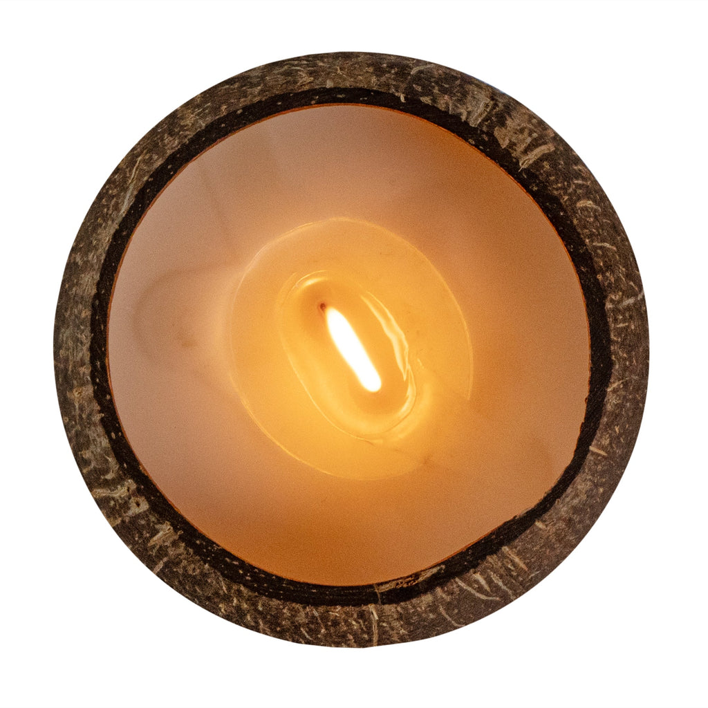 Coco Casa Handmade Coconut Shell Candle - Pineapple Papaya - 4" x 4" x 2 3/4" - 10 count box