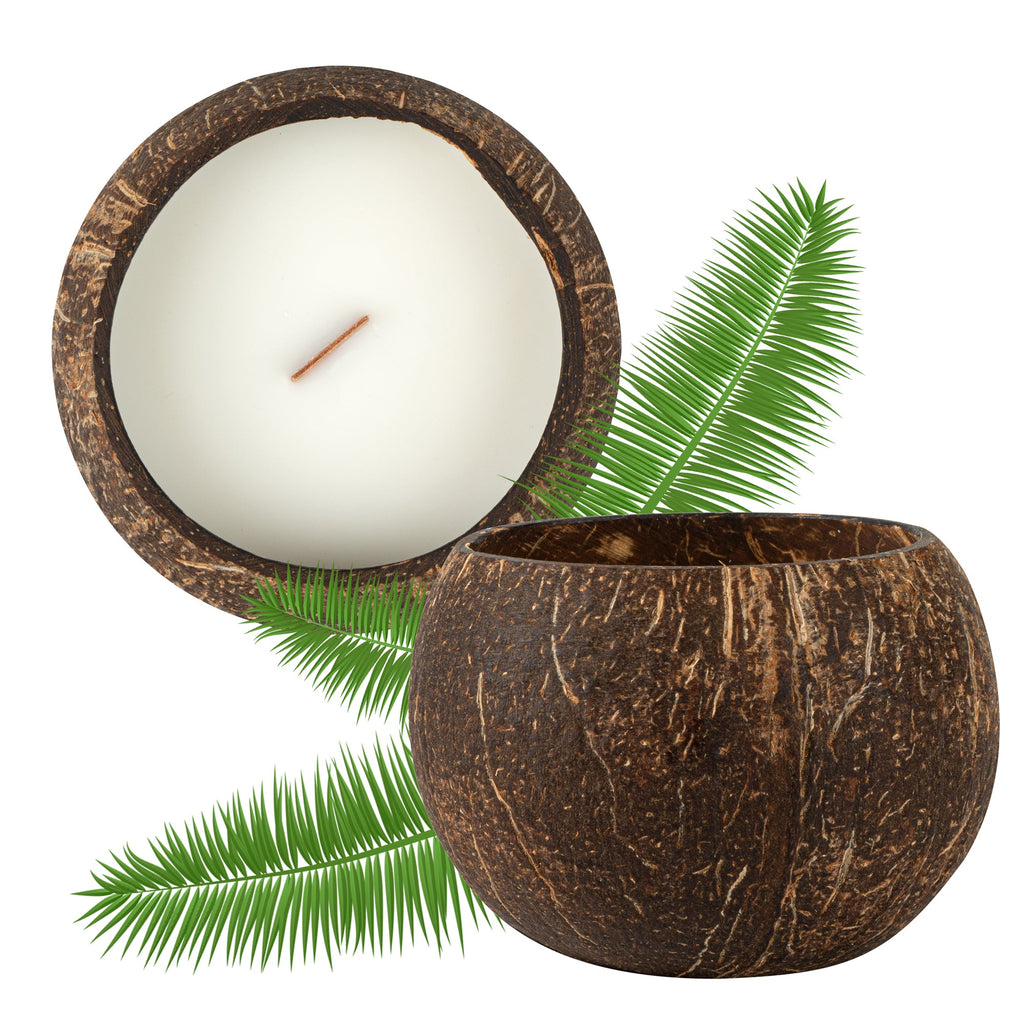 Coco Casa Handmade Coconut Shell Candle - Sandalwood and Shea - 4" x 4" x 2 3/4" - 1 count box