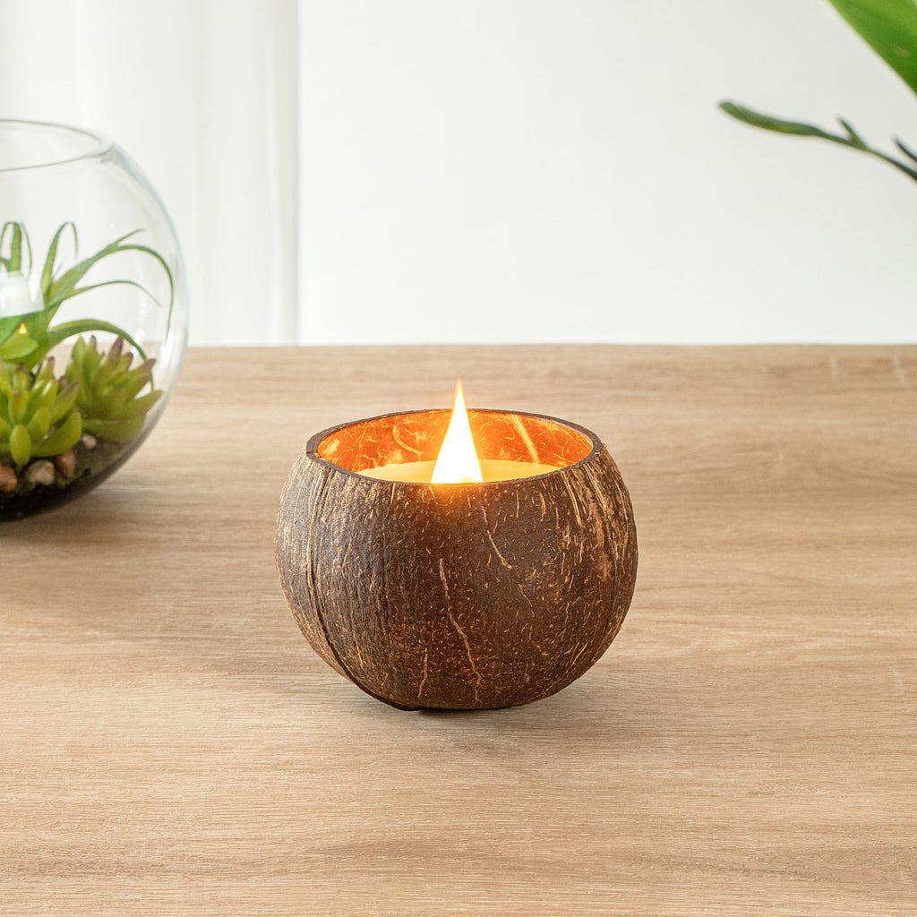 Coco Casa Handmade Coconut Shell Candle - Sandalwood and Shea - 4" x 4" x 2 3/4" - 1 count box