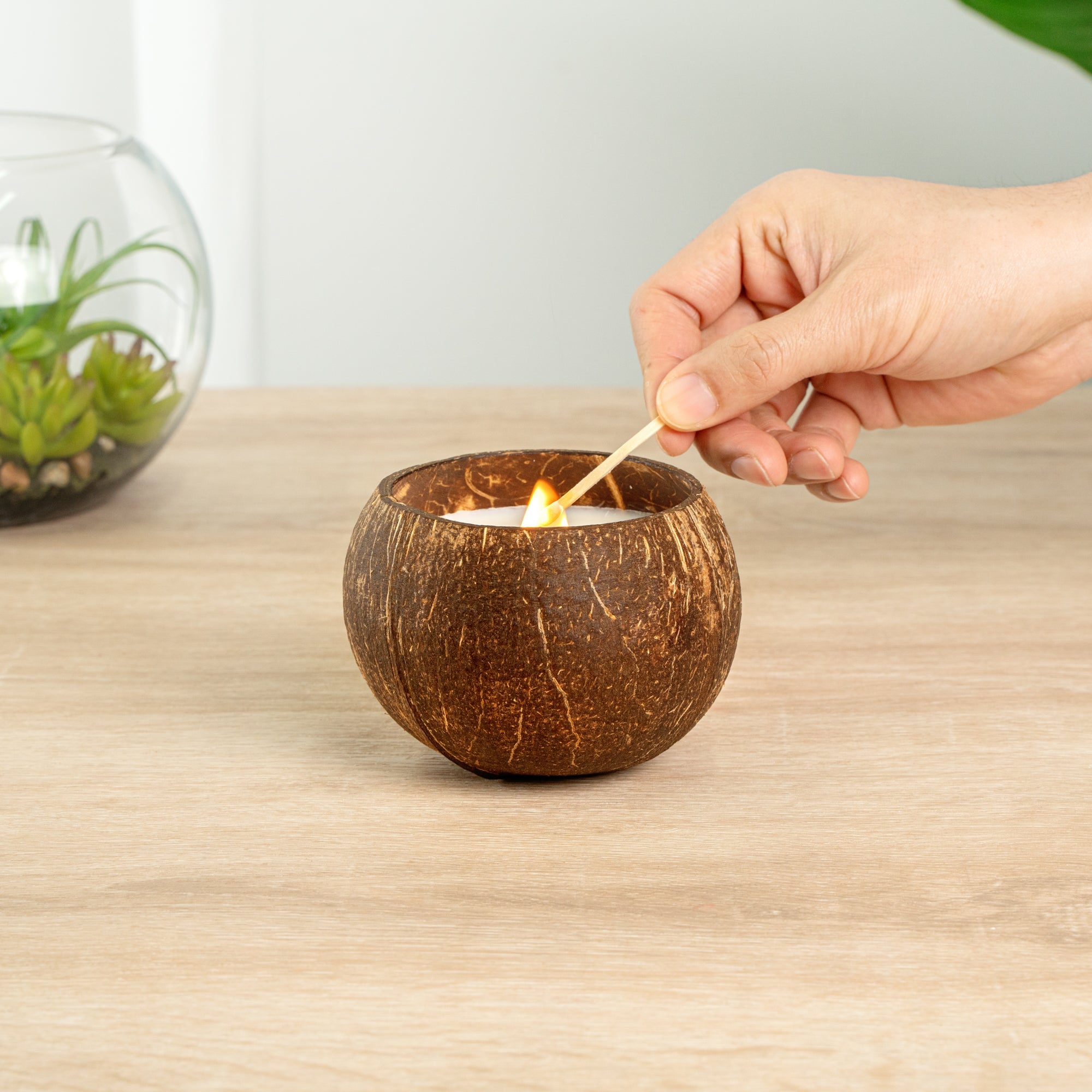Coco Casa Handmade Coconut Shell Candle - Sandalwood and Shea - 4" x 4" x 2 3/4" - 10 count box
