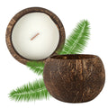 Coco Casa Handmade Coconut Shell Candle - Sandalwood - 4" x 4" x 2 3/4" - 1 count box
