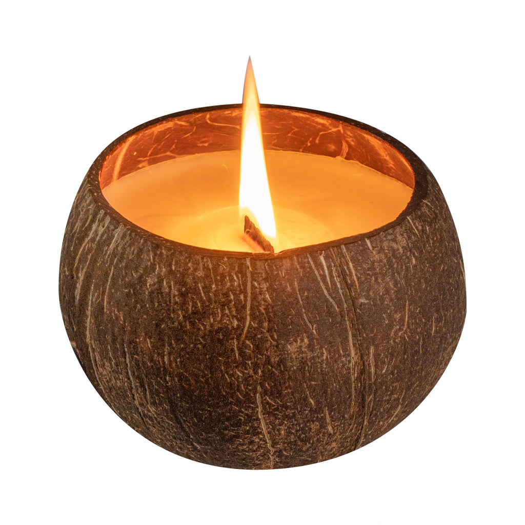 Coco Casa Handmade Coconut Shell Candle - Sandalwood - 4" x 4" x 2 3/4" - 1 count box