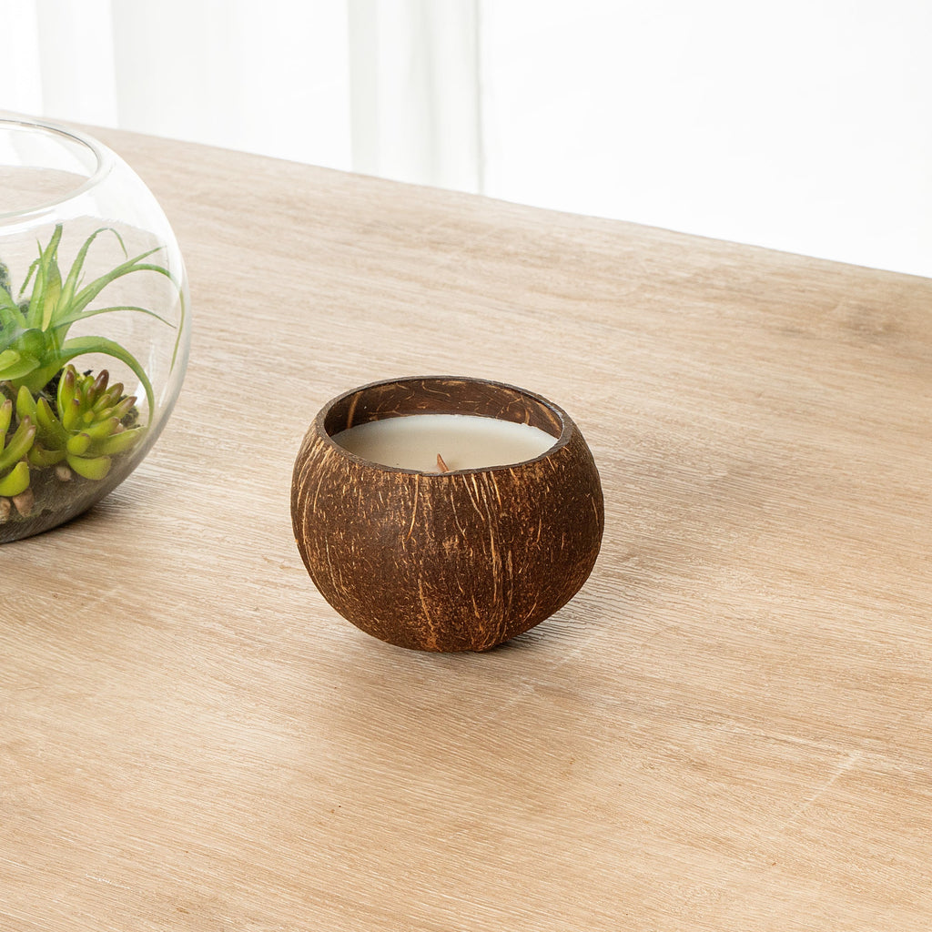 Coco Casa Handmade Coconut Shell Candle - Sandalwood - 4" x 4" x 2 3/4" - 1 count box