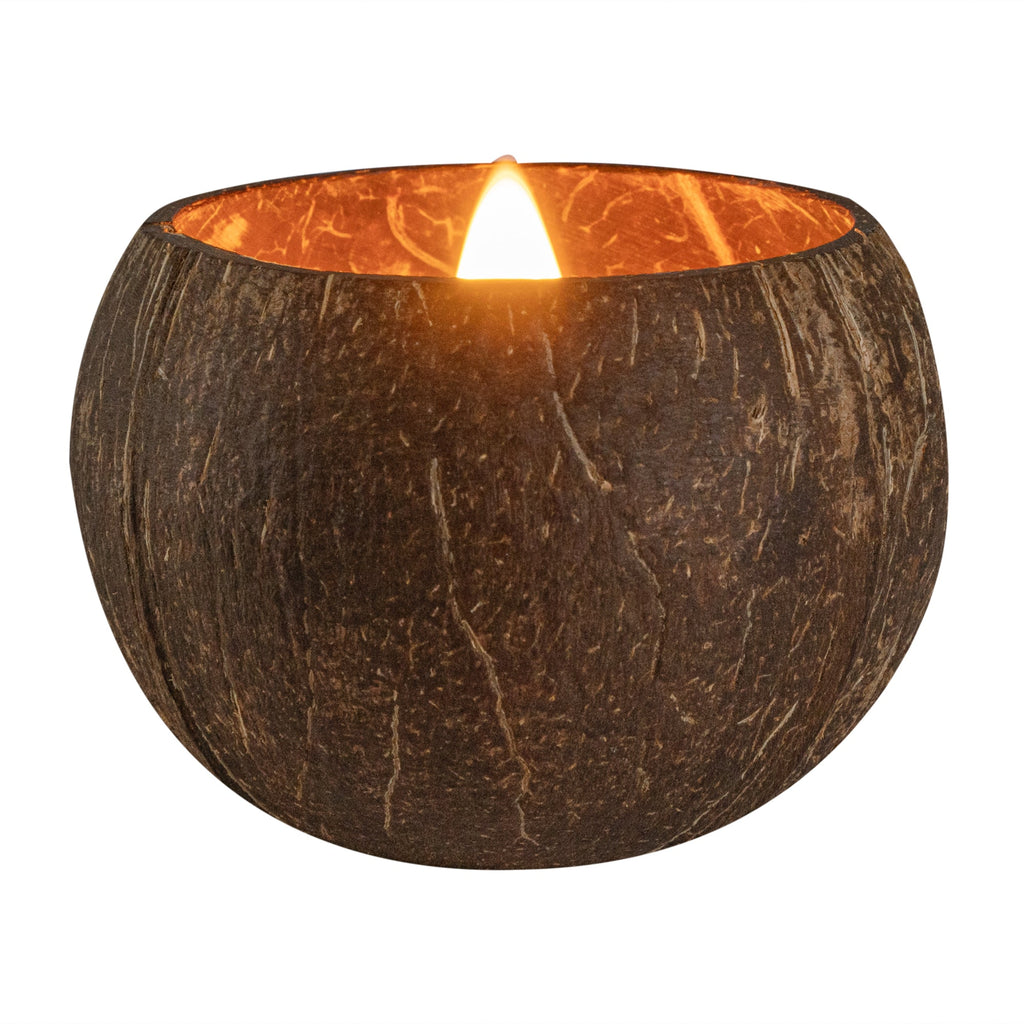 Coco Casa Handmade Coconut Shell Candle - Sandalwood - 4" x 4" x 2 3/4" - 10 count box