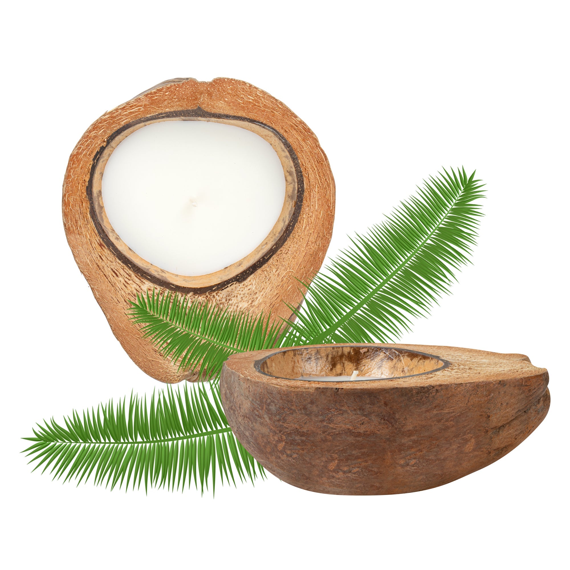 Coco Casa Handmade Coconut Shell Husk Candle - Coconut Mango - 6 1/2" x 6 1/2" x 2 1/2" - 1 count box