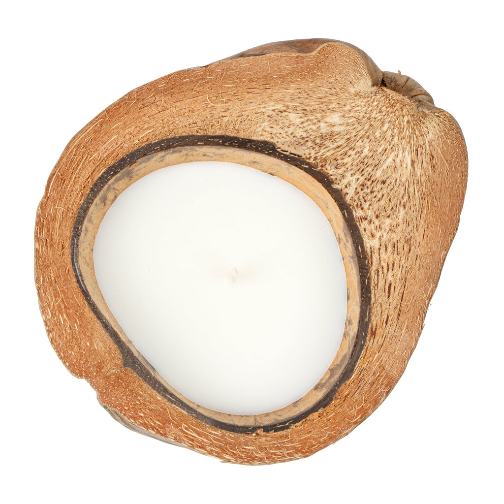 Coco Casa Handmade Coconut Shell Husk Candle - Coconut Mango - 6 1/2" x 6 1/2" x 2 1/2" - 1 count box