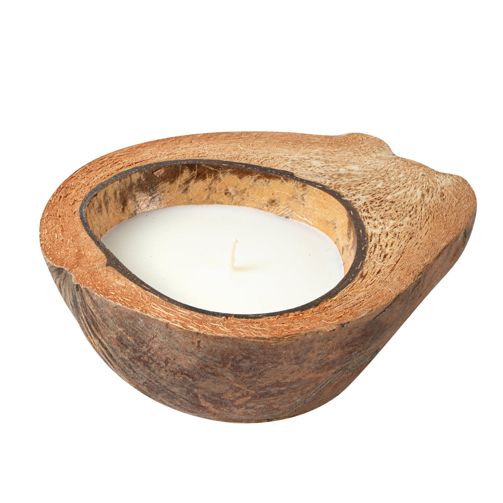 Coco Casa Handmade Coconut Shell Husk Candle - Coconut Mango - 6 1/2" x 6 1/2" x 2 1/2" - 10 count box