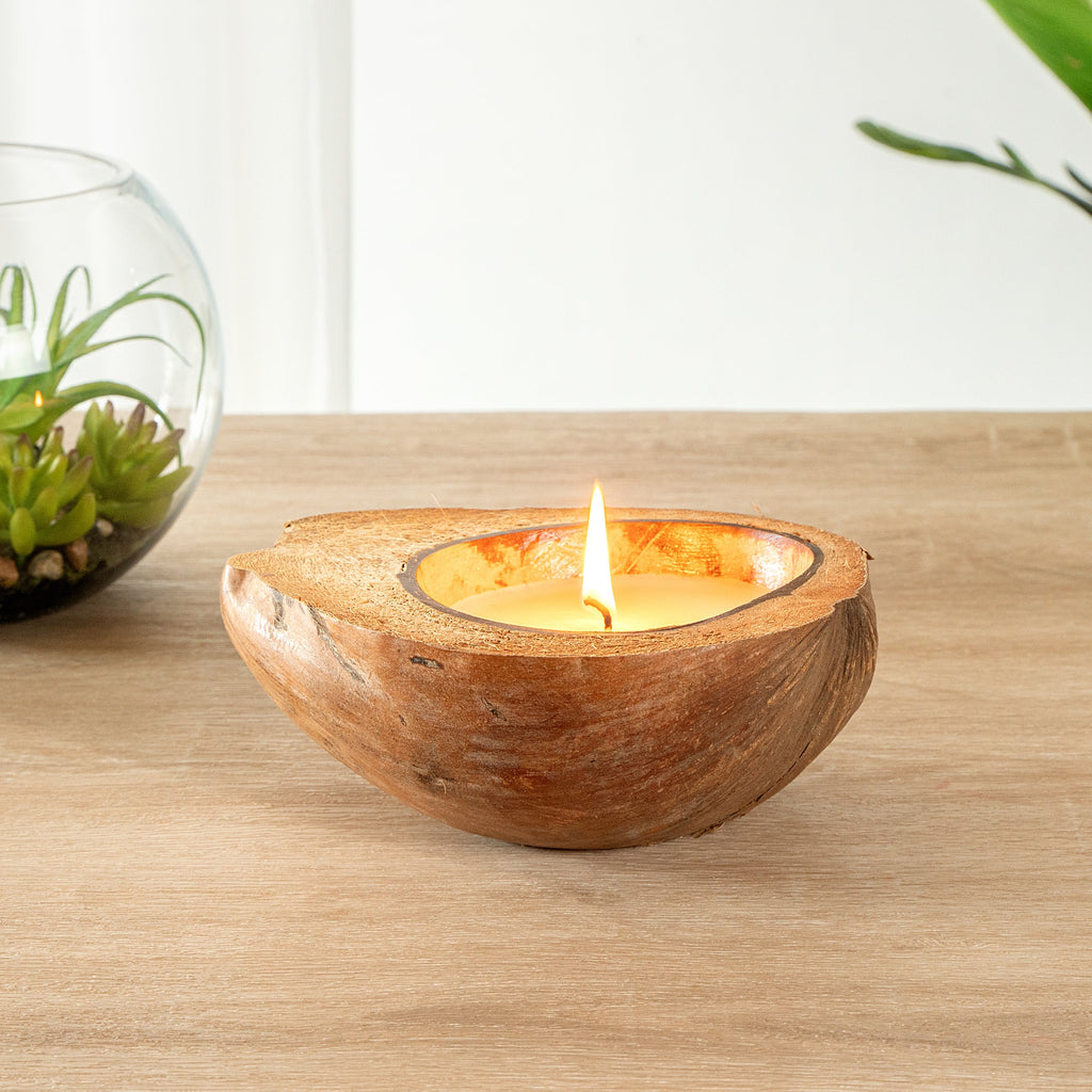 Coco Casa Handmade Coconut Shell Husk Candle - Pineapple Papaya - 6 1/2" x 6 1/2" x 2 1/2" - 1 count box