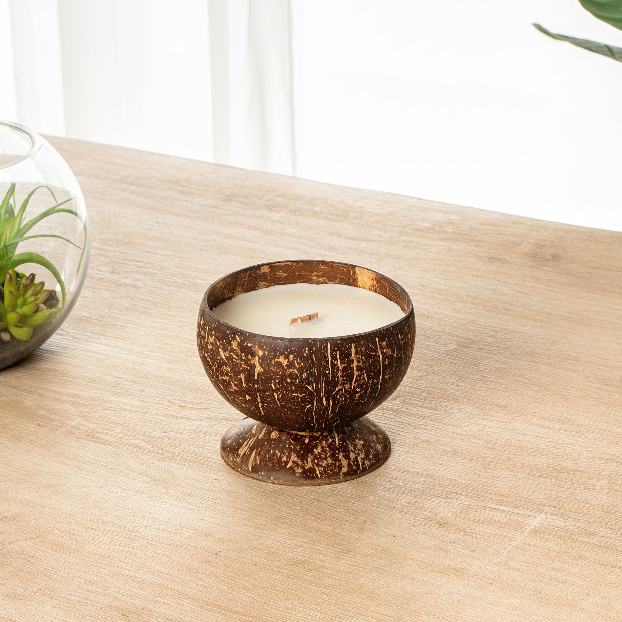 Coco Casa Handmade Coconut Candle Bowl - Mint Leaf and Eucalyptus - 4" x 4" x 2 3/4" - 10 count box