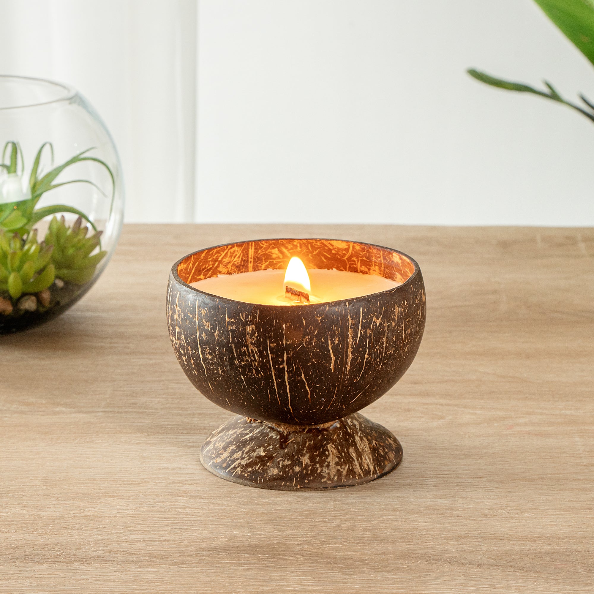Coco Casa Handmade Coconut Candle Bowl - Mint Leaf and Eucalyptus - 4" x 4" x 2 3/4" - 10 count box