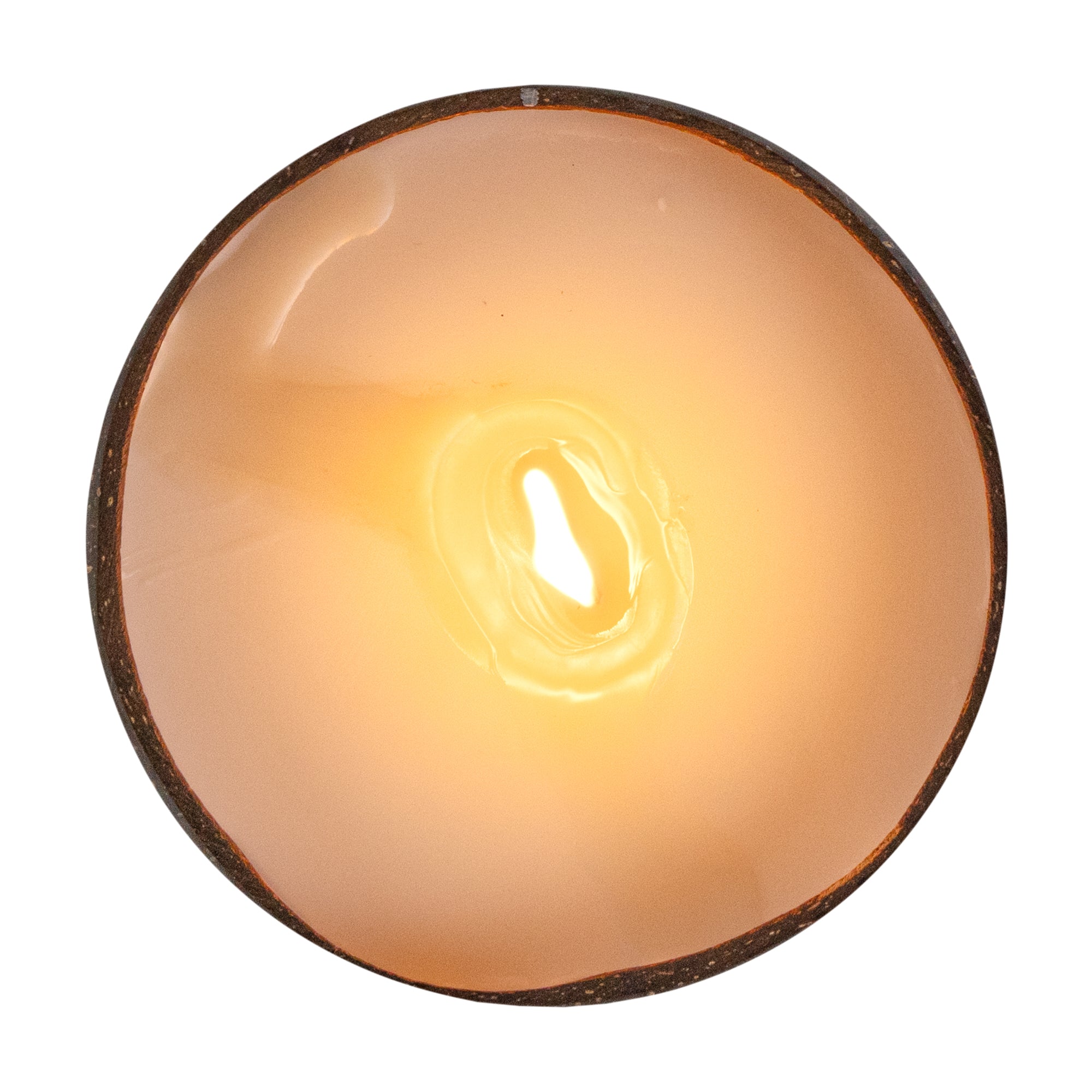 Coco Casa Handmade Coconut Candle Bowl - Sandalwood and Shea - 4" x 4" x 2 3/4" - 1 count box